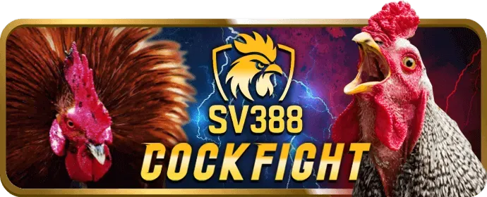 Sòng bạc trực tiếp 566bet